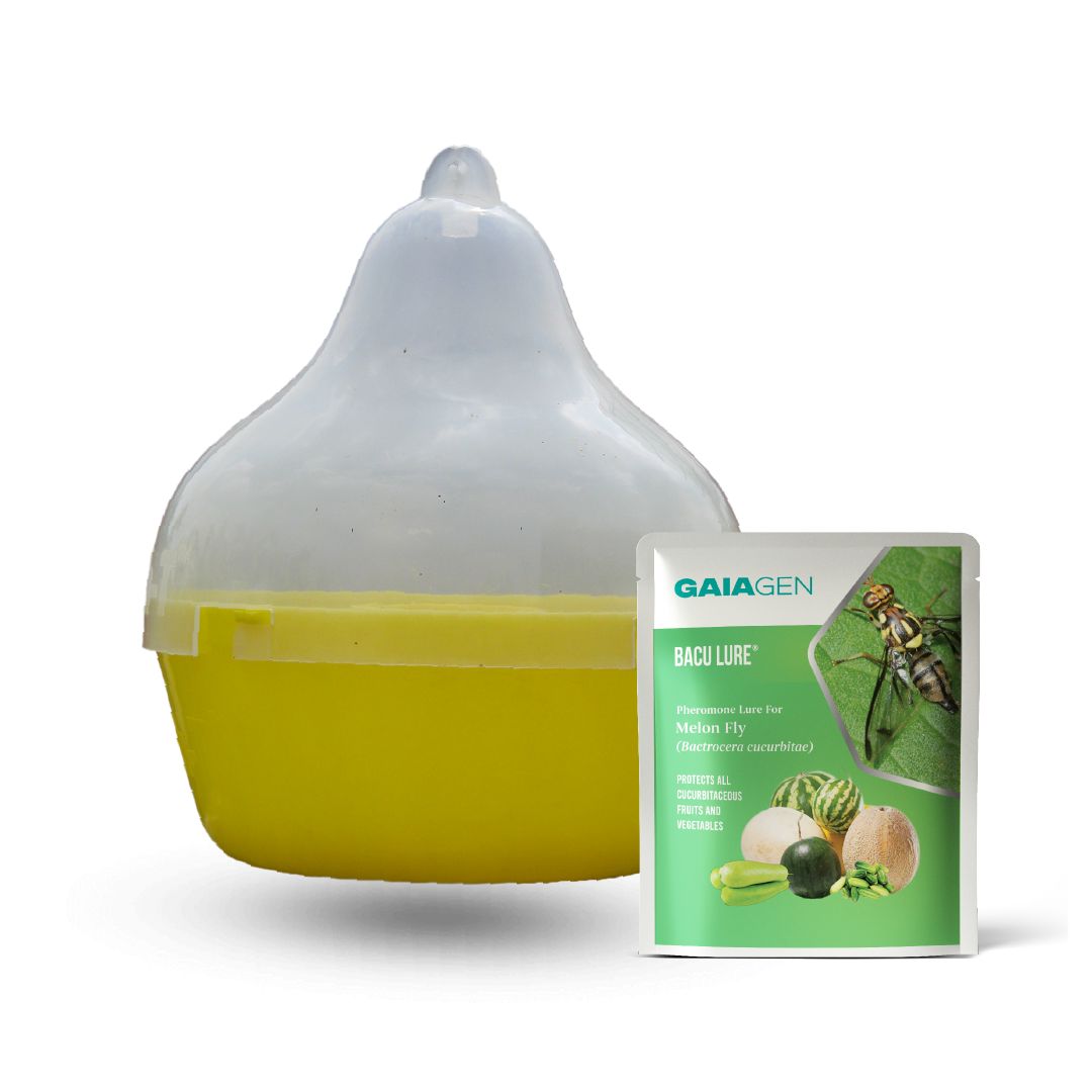 Bacu Lure® Combo Pack - Melon Fly (Bactrocera cucurbitae) Lures &amp; Fly Traps(Fligh-T®) | Pack of 10 each