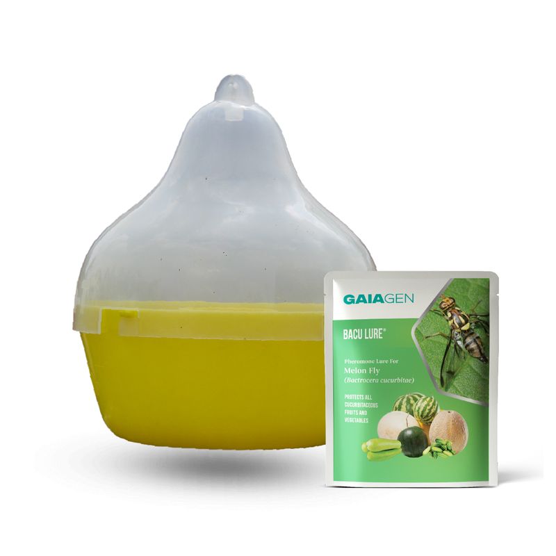 Bacu Lure® Combo Pack - Melon Fly (Bactrocera cucurbitae) Lures &amp; Fly Traps(Fligh-T®) | Pack of 10 each