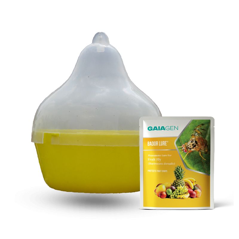 Bador Lure® Combo Pack - Fruit Fly (Bactrocera dorsalis) Lures &amp; Fly Traps(Fligh-T®) | Pack of 10 each