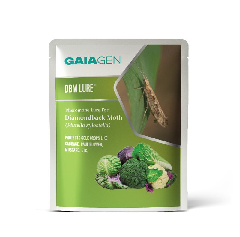 DBM Lure® Pheromone for Diamondback Moth (Plutella xylostella) | Pack of 10