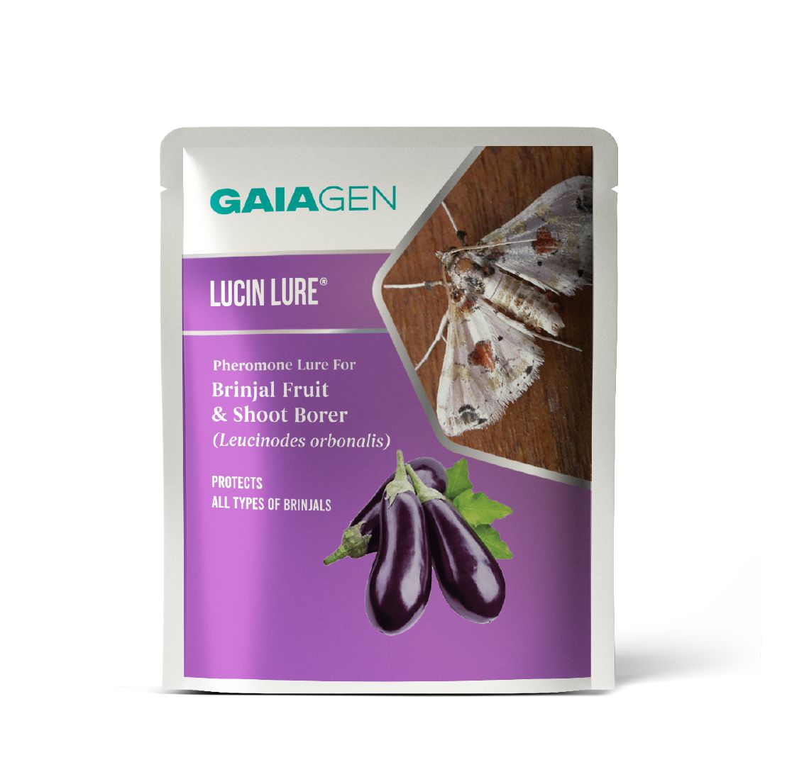 Lucin Lure® Pheromone for Brinjal Fruit &amp; Shoot Borer (Leucinodes orbonalis) | Pack of 10