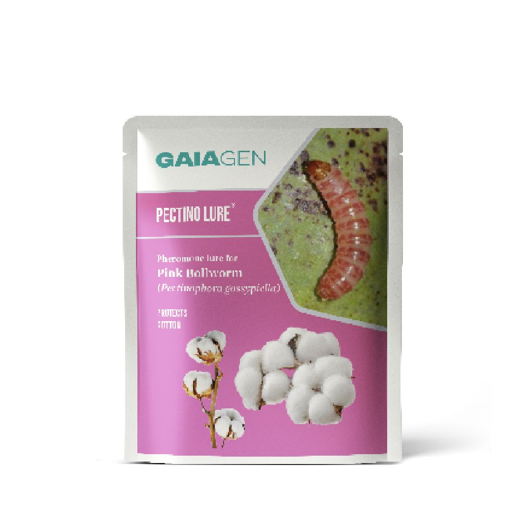 Pectino Lure® Pheromone for Pink Bollworm (Pectinophora gossypiella) | Pack of 10