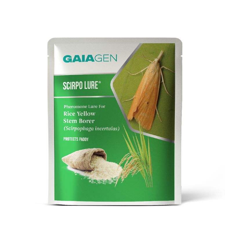 Scirpo Lure® Pheromone for Rice Yellow Stem Borer (Scirpophaga incertulas) | Pack of 10