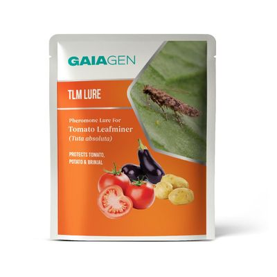 Tomato Leafminer Lure Pheromone for Tomato Leafminer (Tuta absoluta) | Pack of 10