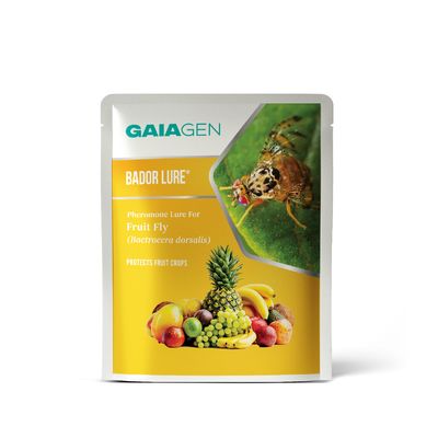 Bador Lure® Pheromone for Fruit Fly (Bactrocera dorsalis) | Pack of 10