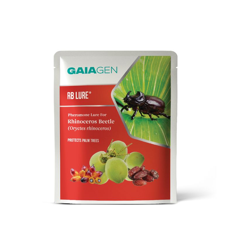 RB Lure® Pheromone for Rhinoceros Beetle (Oryctes rhinoceros) | Pack of 5