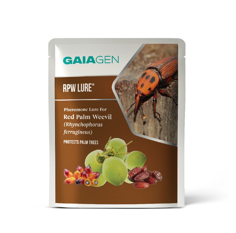 RPW Lure® Pheromone for Red Palm Weevil (Rhynchophorus ferrugineus) | Pack of 5