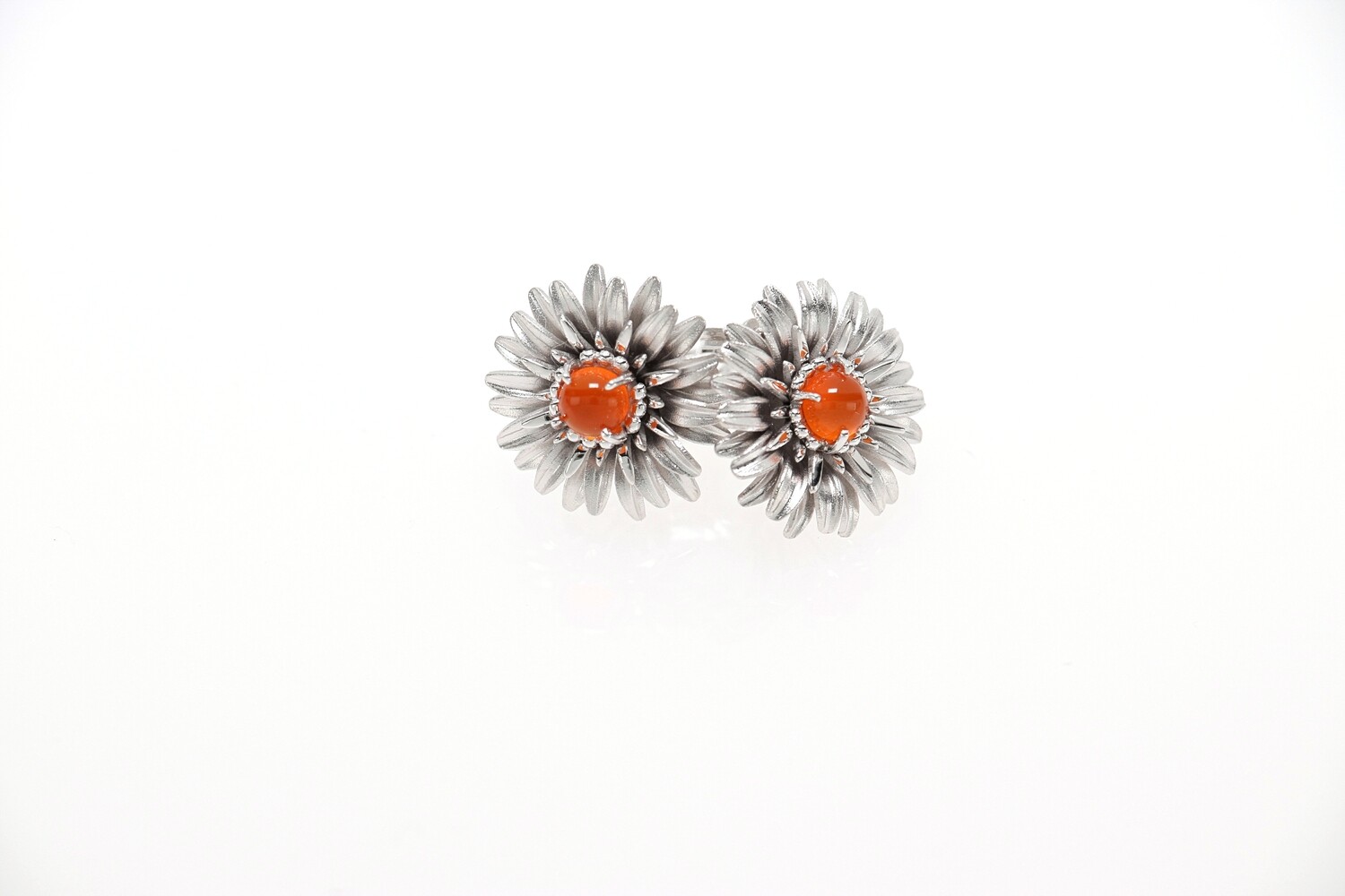 Gerbera