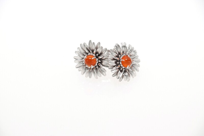 Gerbera