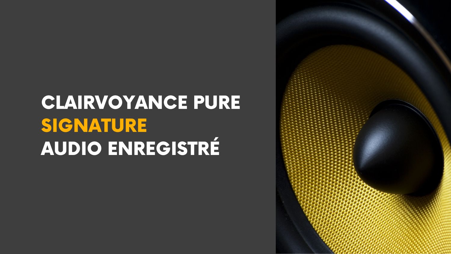 Clairvoyance Pure Signature • Audio Enregistré — Séance vocale différée