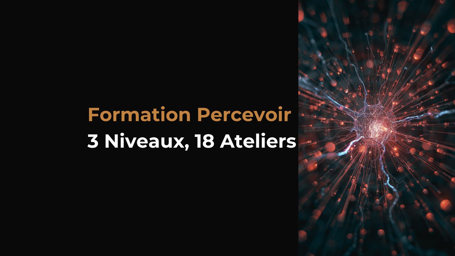 Formation Percevoir — 3 Niveaux, 18 Ateliers
