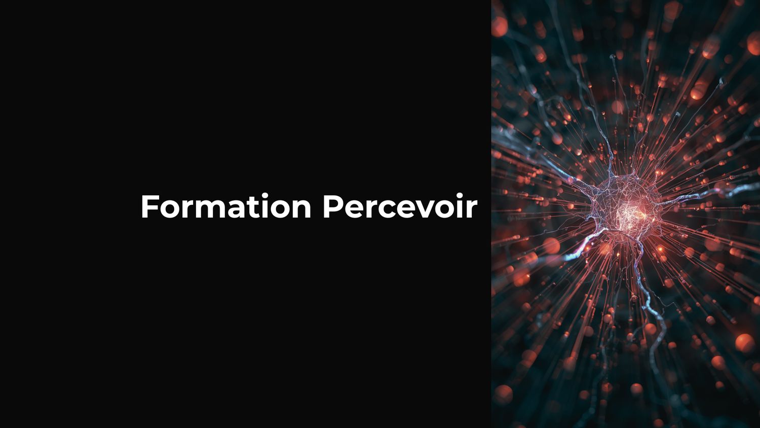 Formation Percevoir — 3 Niveaux, 18 Ateliers