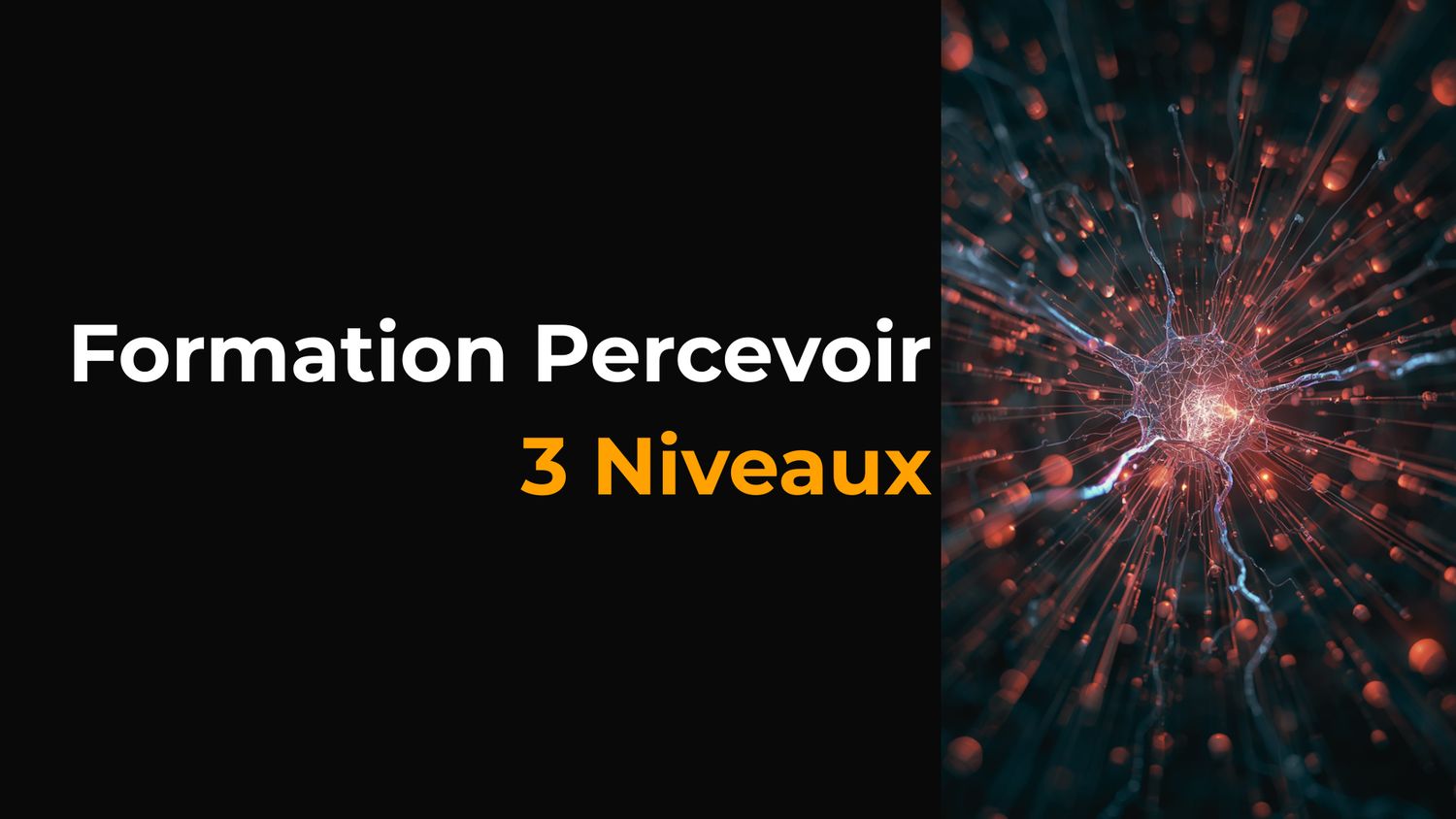 📚 Formation Percevoir • 3 Niveaux