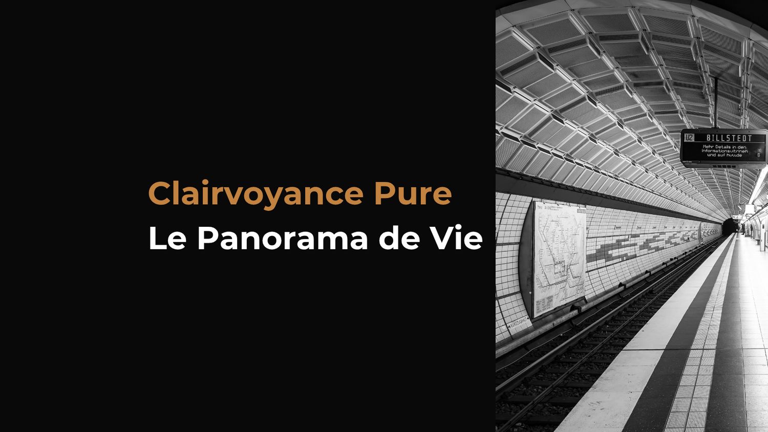 Clairvoyance Pure — Le Panorama de Vie