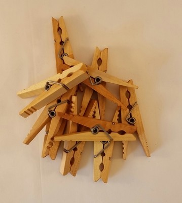 Kevin's Quality Clothespins Factory Seconds Set of Ten