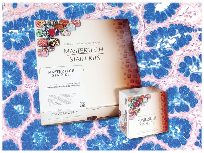 Alcian Blue Stain Kit - pH 2.5