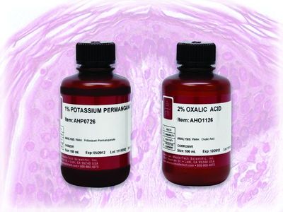 Melanin Bleach Kit Melanin Bleach Kit