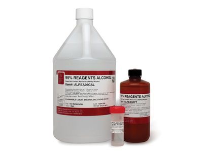 Reagents Alcohol 95% - MasterTech (Methanol-Free)