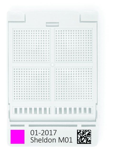 Primera Mesh Biopsy Cassette Primera Mesh Biopsy Cassette