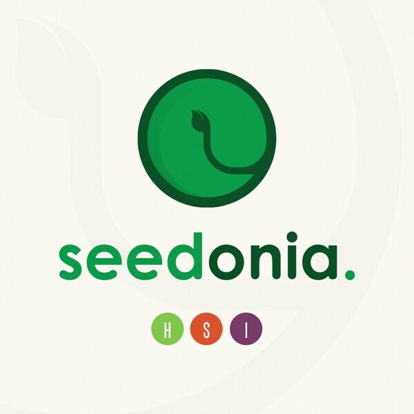 Seedonia • სიდონია / კანაფის თესლები