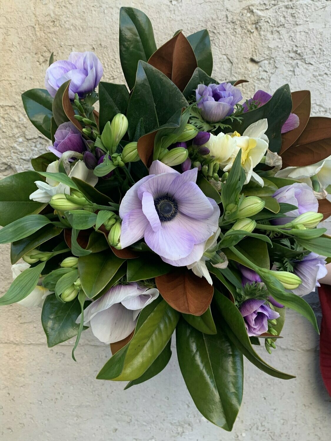 Court Florist Christchurch CHCH NZ Same Day Flower Delivery
