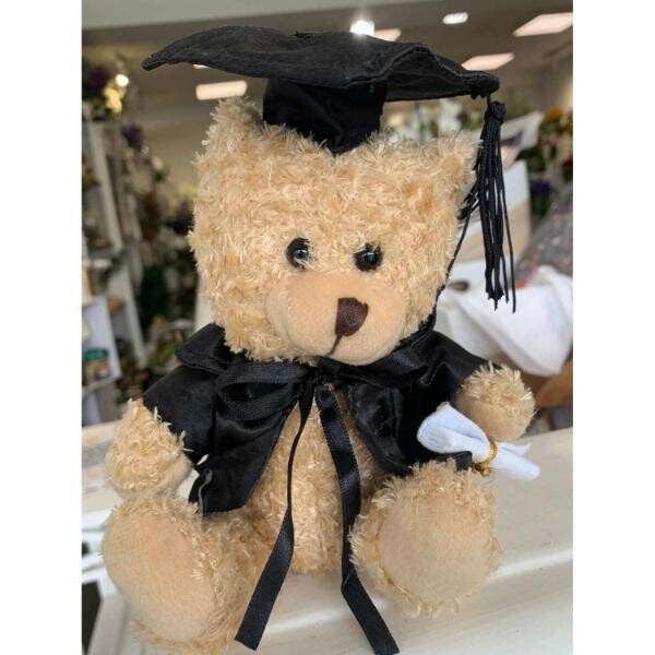 Graduation Bear