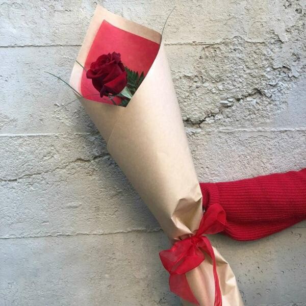 Single Red Rose