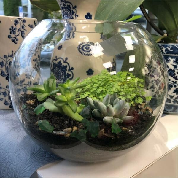 Terrarium