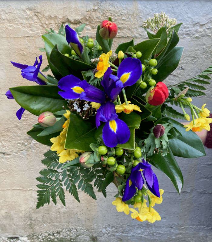 Bright & Vibrant Posy