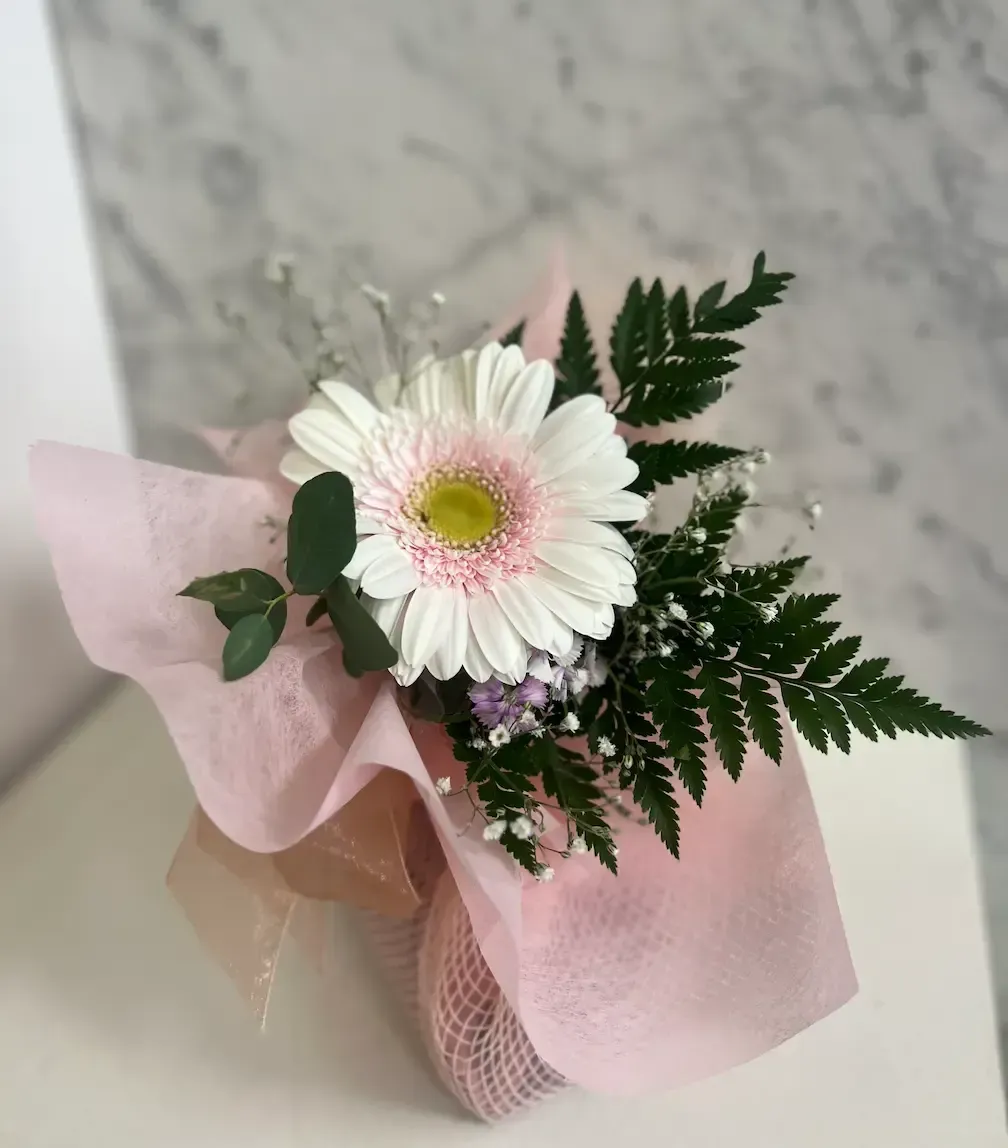 Wrapped box of De Spa chocolates