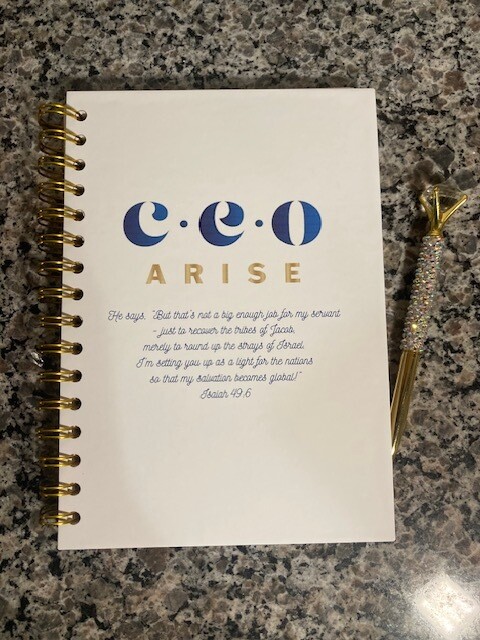 CEO Arise Journal