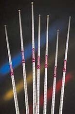 Pole Vault Pole Purchase