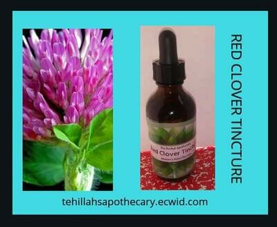 RED CLOVER TINCTURE