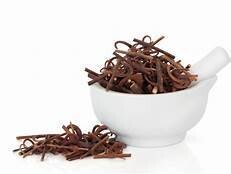 CATS CLAW BARK Tincture