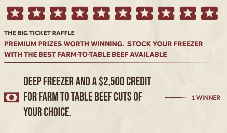 Raffle: Big Ticket Raffle Ticket