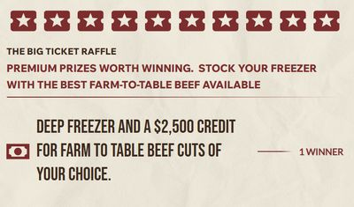 Raffle: Big Ticket Raffle Ticket