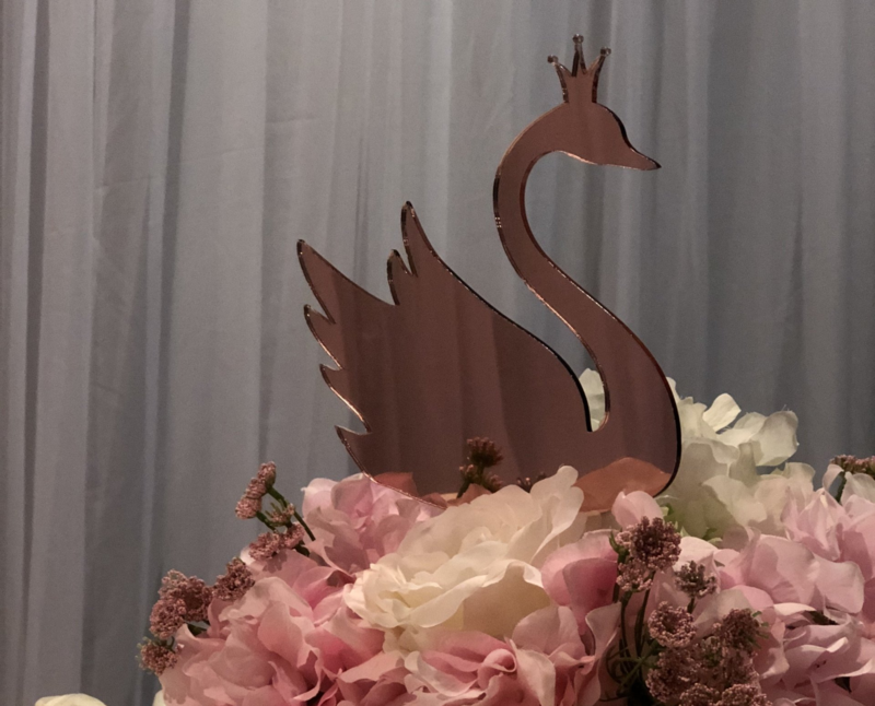 Swan Princess