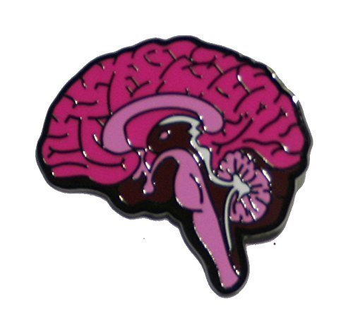 Medial View Brain Pin