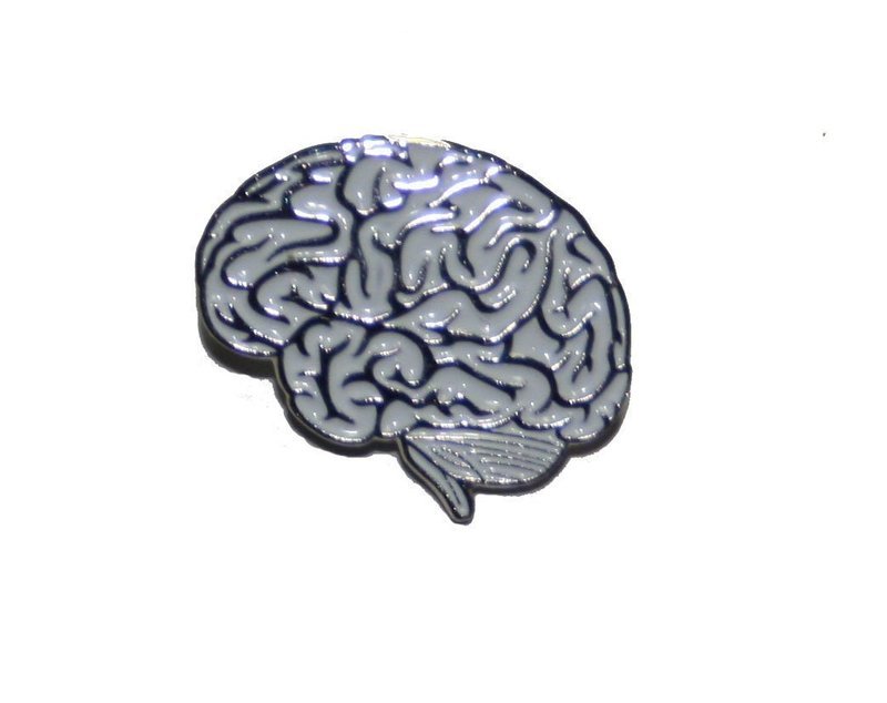 White lateral brain view pin