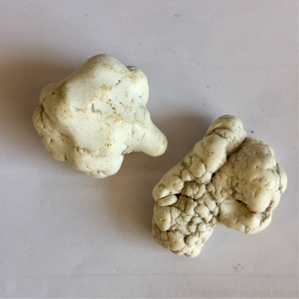 Magnesite