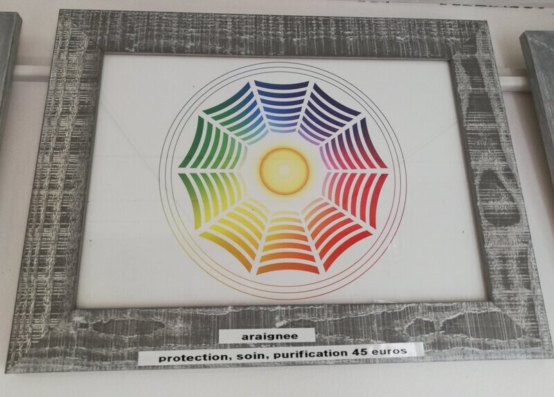 Araignée, protection, harmonisation