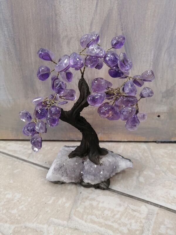 Arbre du bonheur  N°1  environ 15cm
