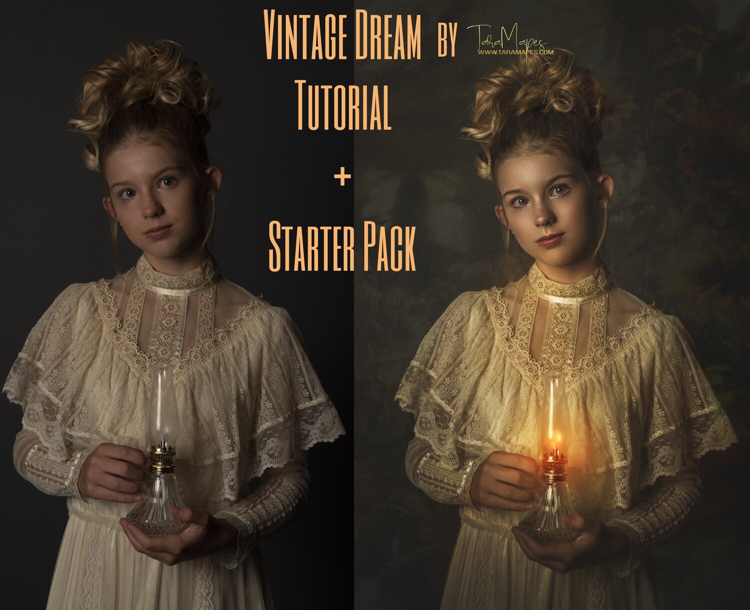 Vintage Dream Fine Art Painterly Photoshop Compositing Tutorial with  STARTER PACK- Fine Art Tutorial by Tara Mapes