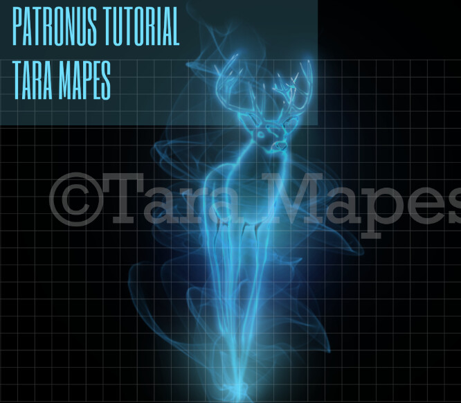 Create a Glowing Deer in Photoshop Tutorial by Tara Mapes Enchanted Eye Creations