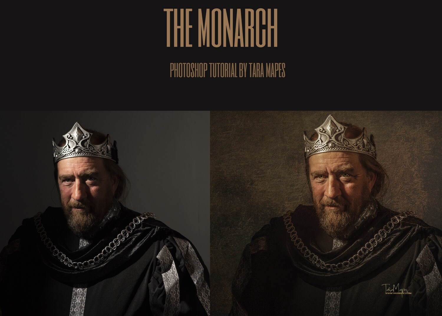 The Monarch Painterly Fine Art Photoshop Tutorial by Tara Mapes