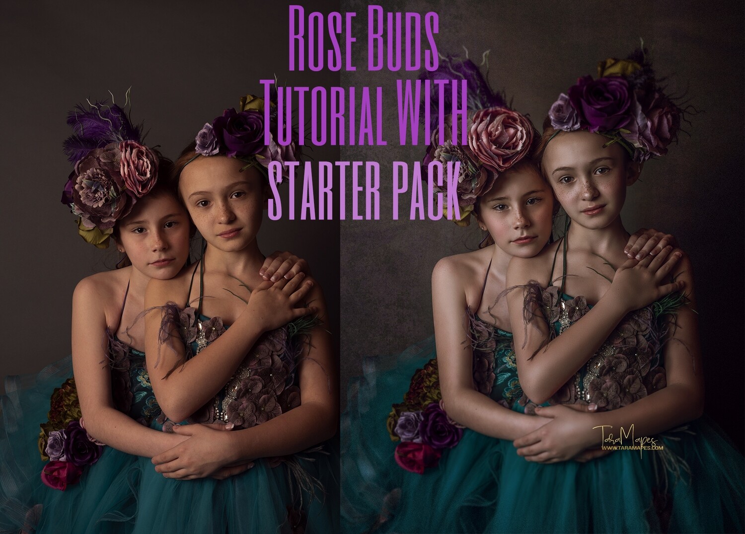 Rose Buds Fine Art Painterly Photoshop Tutorial WITH STARTER PACK- Fine Art Tutorial by Tara Mapes