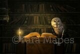 Magic Book on Desk  - Spell Book - Old Library- Digital Background / Backdrop