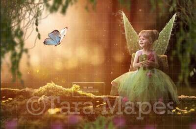 Fairy on Tree Stump in Forest Digital Background / Backdrop