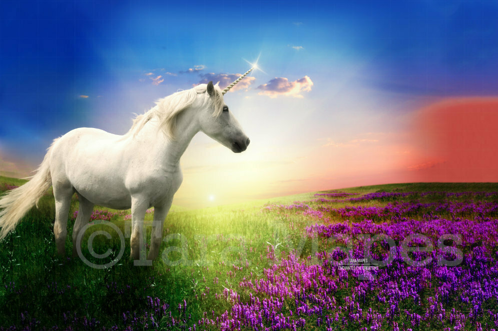Unicorn in Field of Purple Flowers with Sun Creamy Digital Background Backdrop