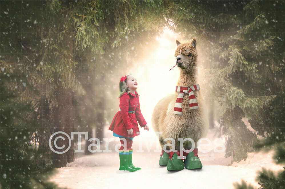 Christmas Alpaca in Pines - Winter Holiday  Digital Background - Alpaca digital backdrop - Funny Christmas Digital Background Backdrop